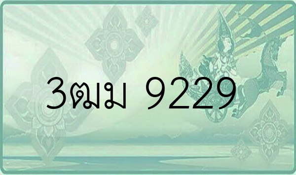3ฒม 9229